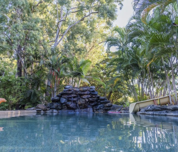 resized pool